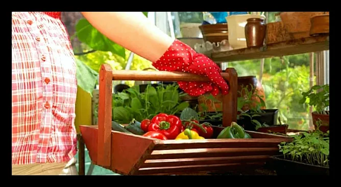 چک لیست پیش از بارداری: نکات ضروری برای آمادگی